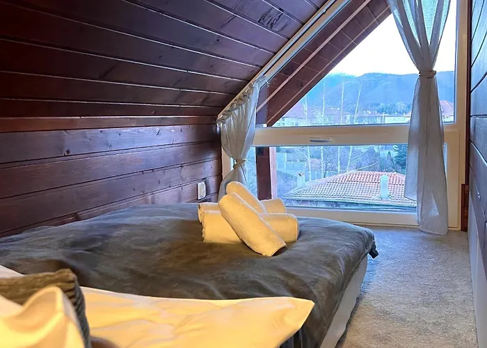 公寓 Cosy Dream Near Borovets