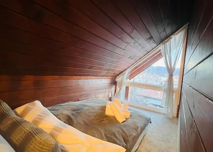 Cosy Dream Near Borovets